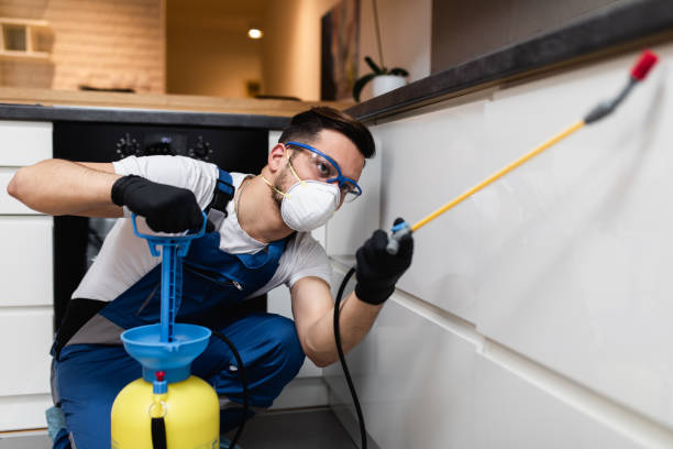Best Bed Bug Extermination  in Beachwood, NJ