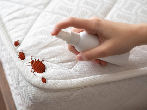 Trusted Beachwood, NJ Pest Control Experts